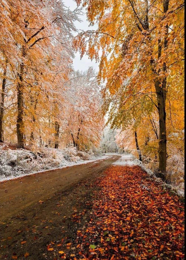 پاییز زمستان مازندران سواد کوه جنوبی جاده الاشت - پایگاه اطلاع رسانی آژنگ