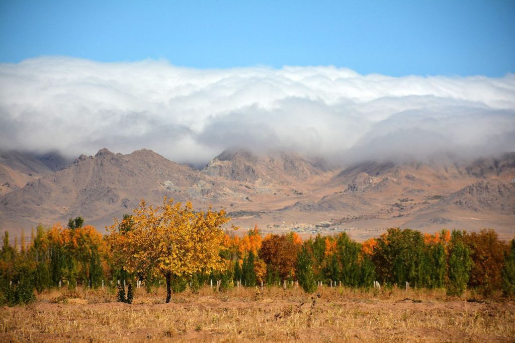 بارندگی گیلن از زنجان - پایگاه اطلاع رسانی آژنگ