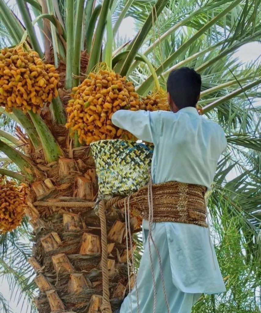 بلوچ فصل هامین - پایگاه اطلاع رسانی آژنگ