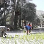 روستای توکل در قصر قند