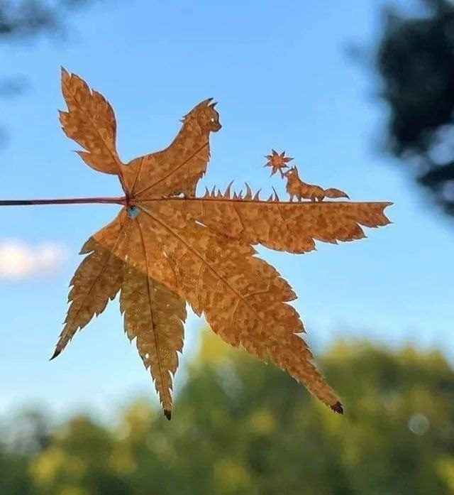 برگ اثر هنری۲ - پایگاه اطلاع رسانی آژنگ